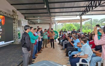 Jaru abre oficialmente a colheita do cacau em Rondônia