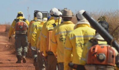 Oportunidade: ICMBio abre processo seletivo para brigadistas ambientais em Rondônia