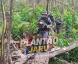 Machadinho D'Oeste: Operação policial reforça segurança após sinais de reocupação em área sob interdito proibitório