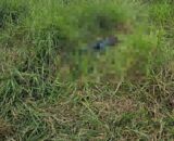 Machadinho: Corpo é encontrado em propriedade rural na linha MA-32
