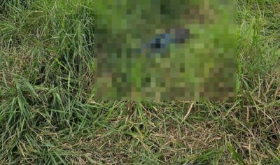 Machadinho: Corpo é encontrado em propriedade rural na linha MA-32