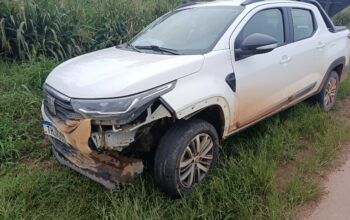 Jaru: Fiat Strada bate em capivara na BR-364 e família passa por grande susto