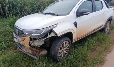 Jaru: Fiat Strada bate em capivara na BR-364 e família passa por grande susto