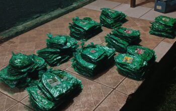 COMBATE AO TRÁFICO NA FRONTEIRA: PMRO E 6º BIS APREENDEM FOLHAS DE COCA NO RIO MAMORÉ