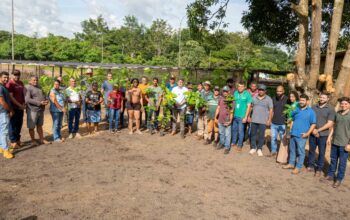 Prefeitura de Jaru entrega 12 mil mudas de cacau para mais de 30 produtores rurais