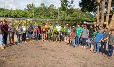 Prefeitura de Jaru entrega 12 mil mudas de cacau para mais de 30 produtores rurais