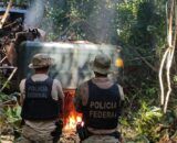 Polícia Federal deflagra Operação Turbid River contra garimpo ilegal em terras indígenas de Rondônia