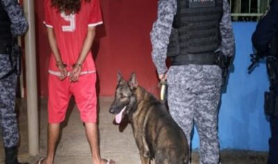 Operação do PATAMO e Canil de Jaru frustram transporte de drogas em Vale do Anari