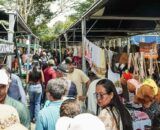 Sucesso Total: 7° Festa da Agricultura Familiar supera expectativas em Theobroma