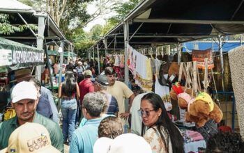 Sucesso Total: 7° Festa da Agricultura Familiar supera expectativas em Theobroma