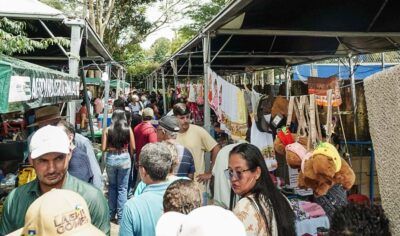 Sucesso Total: 7° Festa da Agricultura Familiar supera expectativas em Theobroma