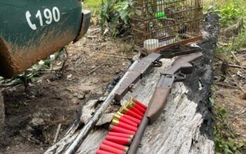 BPA e SEDAM apreendem armas artesanais e resgatam ave silvestre durante fiscalização em Porto Velho