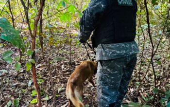 BOPE intensifica buscas por jovem desaparecido após naufrágio em cachoeira de Machadinho D’Oeste