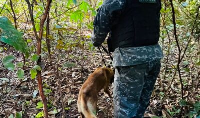 BOPE intensifica buscas por jovem desaparecido após naufrágio em cachoeira de Machadinho D’Oeste