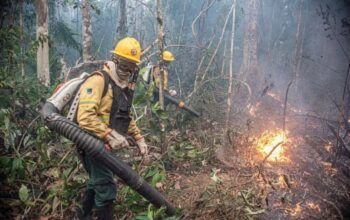 Não perca o prazo: inscrições para brigadistas do Corpo de Bombeiros terminam nesta terça (30)