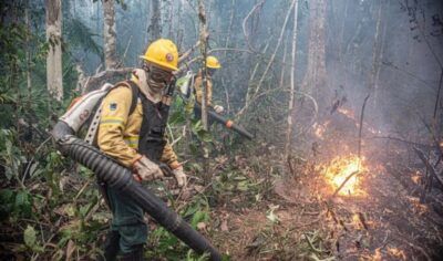 Não perca o prazo: inscrições para brigadistas do Corpo de Bombeiros terminam nesta terça (30)