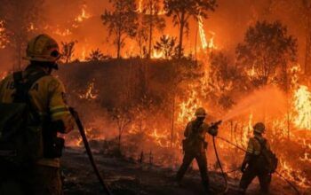 Especialistas alertam para risco de crise climática mais intensa em Rondônia