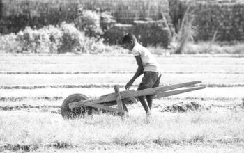 Trabalho infantil em fazenda termina em acidente grave e Justiça garante tratamento a adolescente em Rondônia