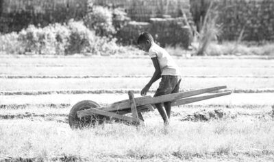 Trabalho infantil em fazenda termina em acidente grave e Justiça garante tratamento a adolescente em Rondônia