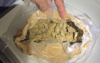 PF deflagra operação contra envio de drogas pelos Correios em Ji-Paraná