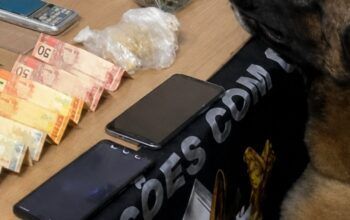 FORÇA TÁTICA E CANIL DA PMRO DESMANTELA PONTO DE VENDA DE DROGAS EM COLORADO DO OESTE