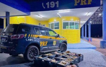 Após passar por Rondônia, mulher é presa em MT com 274 kg de drogas
