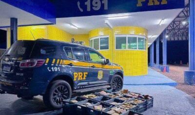 Após passar por Rondônia, mulher é presa em MT com 274 kg de drogas