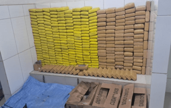 Operação apreende mais de 328 quilos de drogas e prende casal em Cacoal