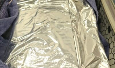 PF apreende mais de 26 quilos de skunk em dois dias no aeroporto de Porto Velho