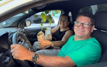 Semana do Meio Ambiente: Prefeitura de Jaru distribui mais de 200 mudas de árvores adequadas para plantio urbano