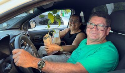 Semana do Meio Ambiente: Prefeitura de Jaru distribui mais de 200 mudas de árvores adequadas para plantio urbano
