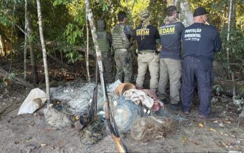 Operação IARA apreende armas, munições e petrechos utilizados em crimes ambientais no Rio Guaporé