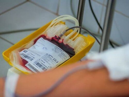 Prefeitura de Jaru e Fhemeron realizarão campanha nos dias 07 e 08 de agosto para reforçar os estoques dos bancos de sangue de Rondônia