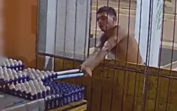 Homem usa cabos de vassoura para furtar ovos de comércio – VEJA O VÍDEO