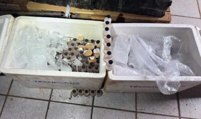 RONDÔNIA: OPERAÇÃO BRASIL CONTRA O CRIME ORGANIZADO APREENDE 400 FRASCOS DE VACINA VETERINÁRIA DE CONTRABANDO