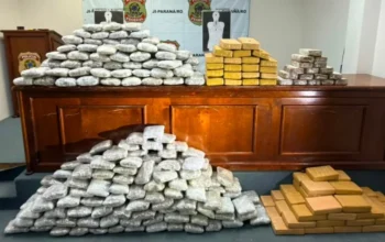 Mais de 240 kg de drogas são apreendido em RO