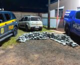 Ação conjunta entre PRF e PM termina com apreensão de 163,3 quilos de skunk em Rondônia