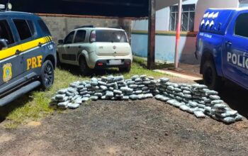 Ação conjunta entre PRF e PM termina com apreensão de 163,3 quilos de skunk em Rondônia