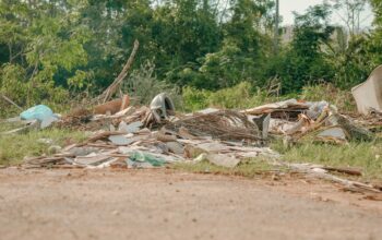 Proibido: Prefeitura de Jaru alerta para os riscos do descarte irregular de lixo e entulhos; responsáveis podem ser penalizados com multas que podem chegar a mais de 50 mil reais