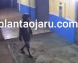 Jaru: Câmera de segurança flagra suspeito de furto a mercado no Setor 08, que acaba preso