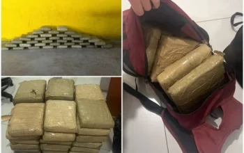 PRF apreende aproximadamente 40 kg de skunk em Pimenta Bueno durante fiscalização