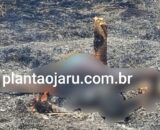 Produtor rural sofre descarga elétrica e corpo é atingido por incêndio em propriedade rural de Machadinho