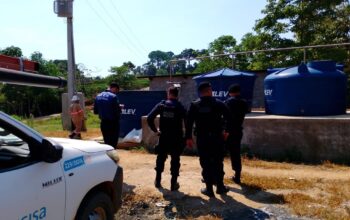 Fazendeiro é preso por furtar energia para irrigar lavoura de café em Rondônia