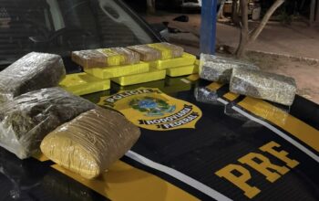 PRF em Rondônia apreende mais de 12 kg de drogas em ônibus de passageiros