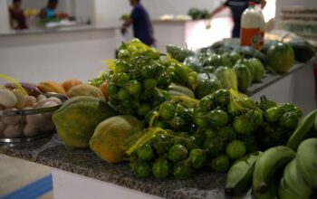 Prefeitura de Jaru abre Chamada Pública para compra de alimentos da Agricultura Familiar; produtos serão destinados à merenda da rede municipal de ensino