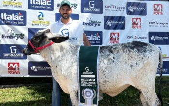 Criador de Tarilândia conquista título no Julgamento da Raça Girolando durante a 41ª Expoari