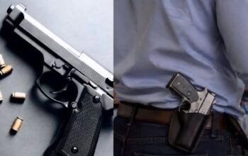 Câmara avança com projeto que prevê porte de arma de fogo para empresários e MEIs
