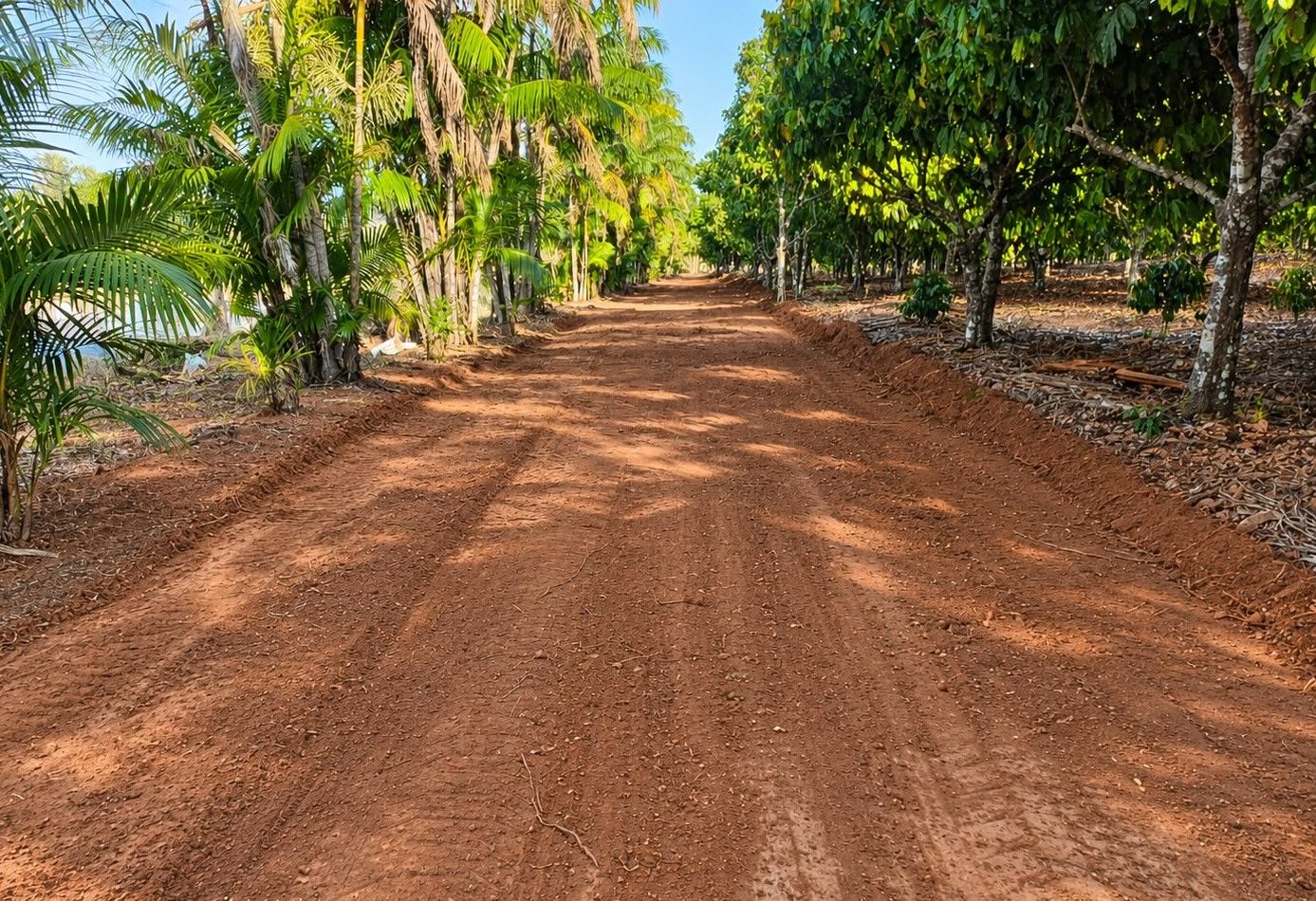 Caminho Rural amplia acesso às propriedades e facilita trabalho de produtores; programa é executado pela Prefeitura de Jaru com maquinários e recursos próprios