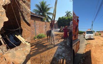 Ji-Paraná: Égua cai em fossa e fica presa por oito horas antes de ser resgatada por bombeiros