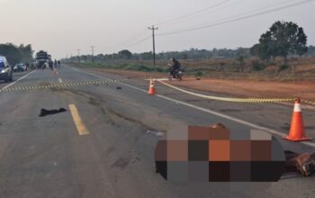 Motociclista morre após colisão com cavalo na BR-364 em Ariquemes